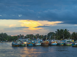 Fischerboote in Lagune, Sonnenuntergang, Negombo, Sri Lanka