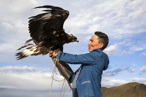 Mongolian hawk with eagle, Mongolia