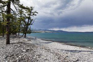 Wilder Strand am Khuvsgul See, Mongolei