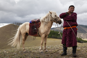 Pferd und mongolischer Reiter, Mann, Mongolei