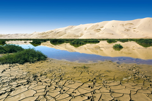 Water in front of Hongor Sand Dune, Gobi Desert, Mongolia