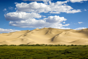 Grass area in front of Hongor sand dune, Gobi desert, Mongolia