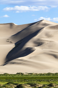 Grass area in front of Hongor sand dune, Gobi desert, Mongolia