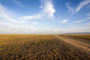 Transition steppe and stone desert, Mongolia