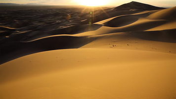 Hongor dunes with sunset, Gobi desert, Mongolia