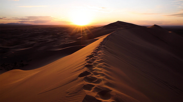 HHongor dunes with sun and footprints, Gobi desert, Mongolia