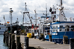 Kutter im Hafen von Sassnitz, Insel Rügen, Ostsee, Deutschland