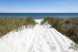 Dünen an Ostsee, Insel Rügen, Deutschland
