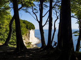 Chalk cliffs Wissower Klinken, island Rügen, Germany