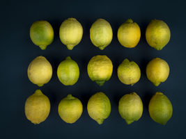 Lemon fruits