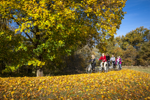 Bicycle tour in autumn on Dammweg, Spreewald, Germany
