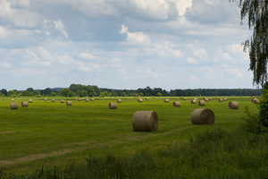 Meadow with hay bales, wide landscape, Spreewald, Germany