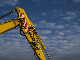 Yellow crabapple arm against blue sky, Germany