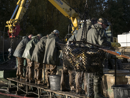 Men with rubber suits in inland fishing, Spreewald, Germany