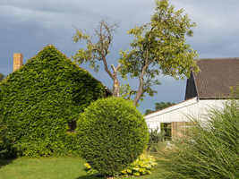 Altes Bauernhaus und Scheune, grün bewachsen, Gras und wilder Wein, Schlepzig, Spreewald, Brandenburg, Deutschland