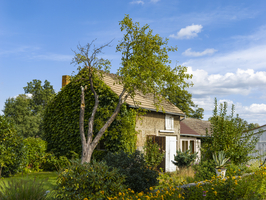 Kleines altes Haus, wilder Garten und Scheune, Schlepzig, Spreewald, Brandenburg, Deutschland