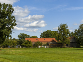 Alter Bauernhof mit Scheune und Bäumen im Dorf an Wiesenrand, Schlepzig, Spreewald, Brandenburg, Deutschland