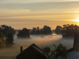 Nebel über den Wiesen am Dorfrand bei Sonnenaufgang, Schlepzig, Spreewald, Brandenburg, Deutschland