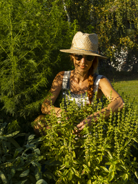 Frau in Kräuterbeet, Heilkräuter im Garten, Gartenarbeit im Kräutergarten mit Strohhut und Sonnenbrille, Deutschland