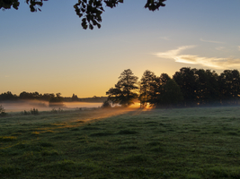 Morgennebel über den Wiesen und Auen, leuchtende Sonnenstrahlen, Schlepzig, Spreewald, Brandenburg, Deutschland