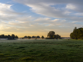 Morgennebel über den Wiesen und und Auen, leuchtende Farben, Schlepzig, Spreewald, Brandenburg, Deutschland