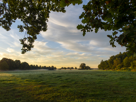 Morgennebel über den Wiesen und und Auen, leuchtende Farben, Schlepzig, Spreewald, Brandenburg, Deutschland