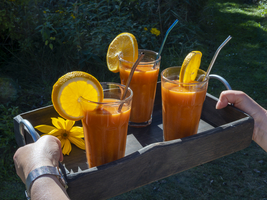 Frisch gepresster Saft in Saftgläsern, Möhren, Zitrone, Apfel, Orange, Früchte, Gesundheitsgetränk