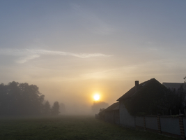 Nebel und Morgensonne zwischen Bäumen und Wiesen, einsames Haus, Spreewald, Brandenburg, Deutschland