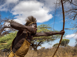 Bushman with a bow and arrow, tension, flying arrow, traditional clothing, Tanzania