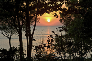 Sonnenuntergang zwischen Wald und Meer, Vietnam