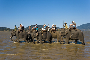 Elefanten-Trekking am Lac Lake, durch den See, Vietnam