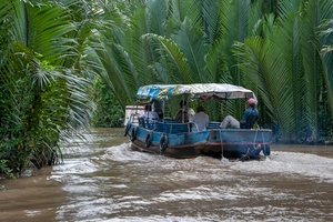 Boot zwischen Wasserpalmen, Mekongdelta, Vietnam