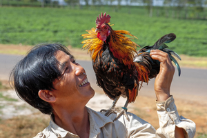 Mann mit Hahn auf Schulter, Kampfhahn, Vietnam