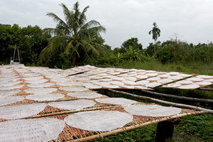 Reispapier für Reisnudeln wird getrocknet, Mekongdelta, Vietnam