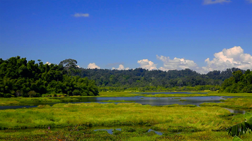 Jungle lake in Cat Tien National Park, South Vietnam