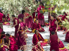 Mönchsdiskussion im Sera Kloster, viele Mönche im Gespräch auf dem Klosterhof, Lhasa, Tibet, China