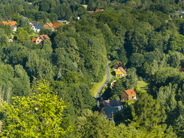 Dorf im Wald, Häuser zwischen Bäumen, Lückendorf, Zittauer Gebirge, Sachsen, Deutschland