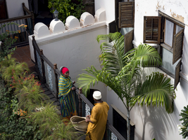 Woman and man in a tropical roof garden with palm trees and white walls, Stone Town, Zanzibar, 2017