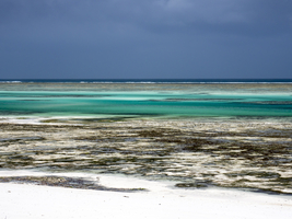 Beach at low tide, Pingwe, Indian Ocean, east coast, Zanzibar