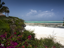 Beach at low tide, Pingwe, Indian Ocean, east coast, Zanzibar