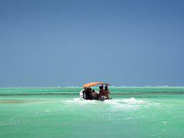 Boat with red roof, travels through emerald green crystal clear water, east coast of Zanzibar, Tanzania, Africa