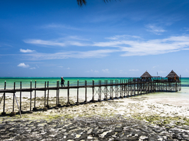 Beach and jetty at low tide, Jambiani, Paje, Zanzibar, Tanzania