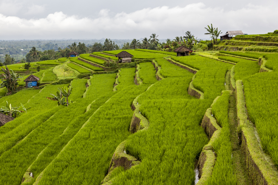 Kleines balinesisches Mädchen, Bali