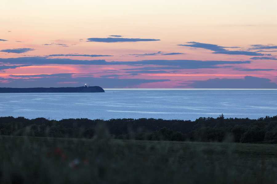 Junge begeistert im roten Mohnfeld, Insel Rügen, Deutschland